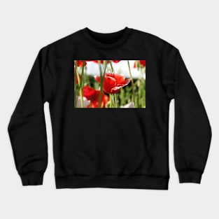 Poppies In the Grass Crewneck Sweatshirt